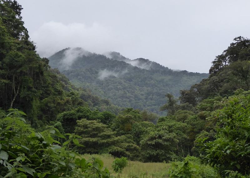 Boquete Cloud-forest