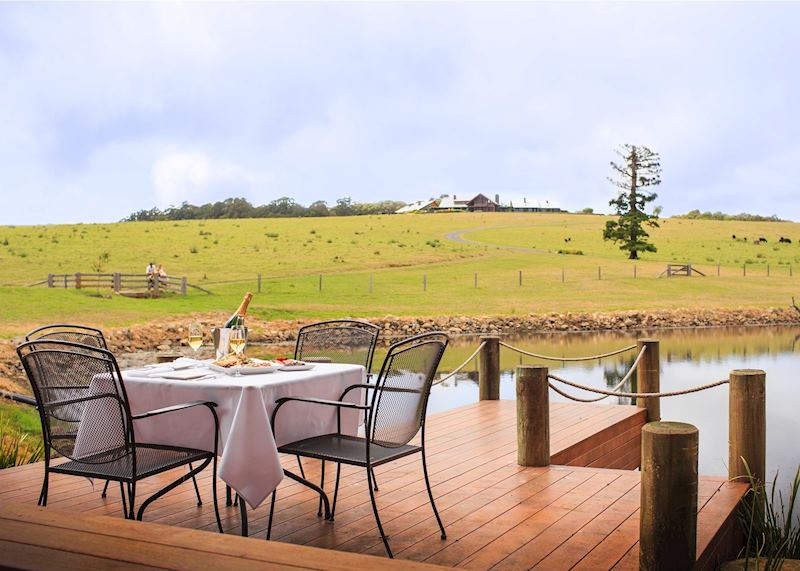 Gourmet Picnic, Spicers Peak Lodge
