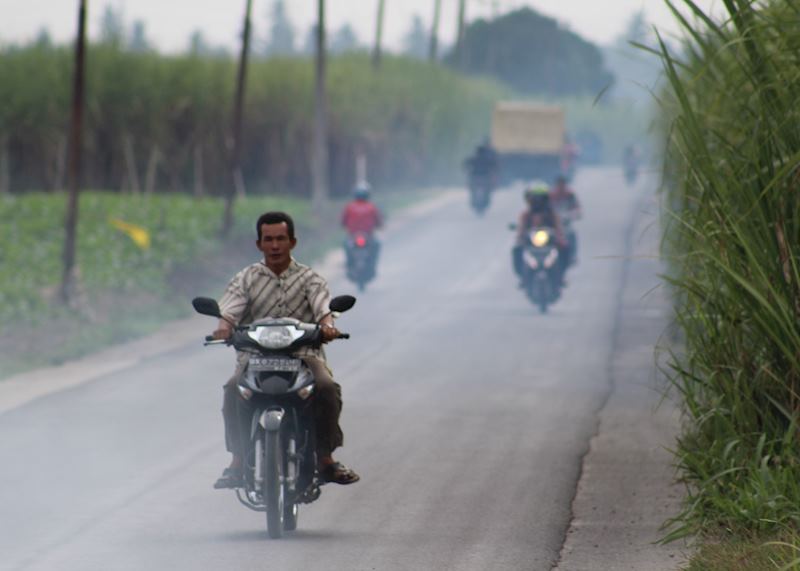 Scenery outside of Medan, local roads through tobacco plantations, Sumatra
