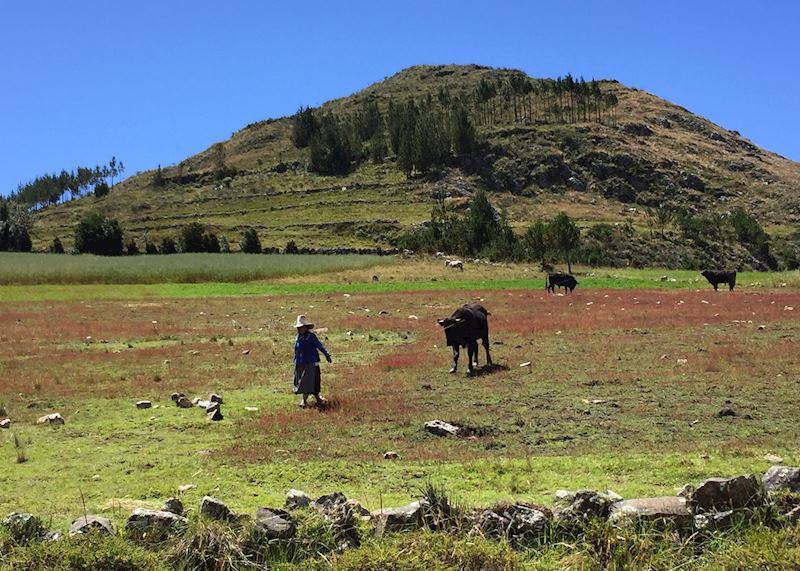Local farming lady, Cumbemayo, Cajamarca