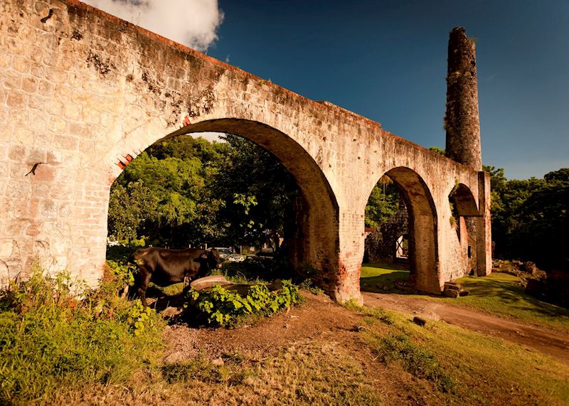 Romney Manor, Saint Kitts & Nevis