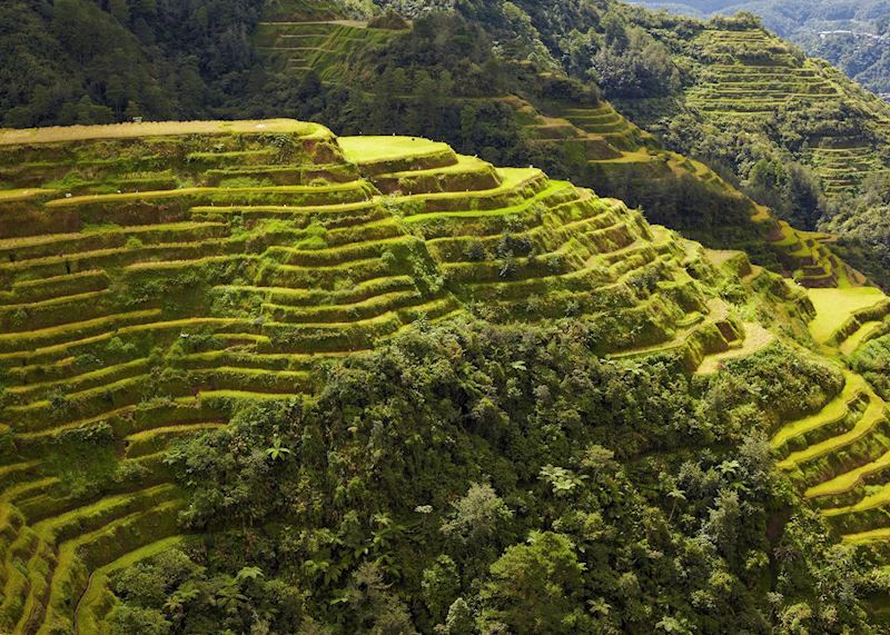 Banaue rice terraces