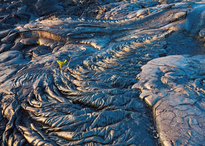 Solidified lava bed, Hawaii (Big Island)