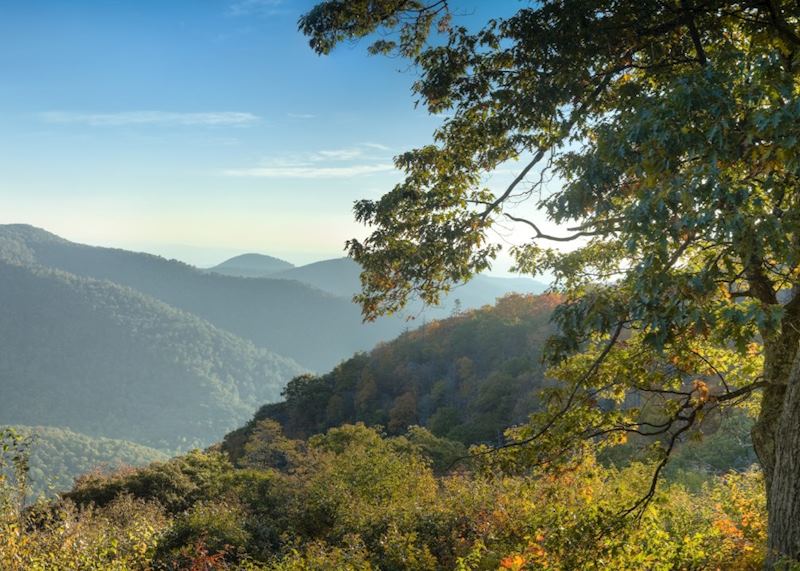 Shenandoah National Park