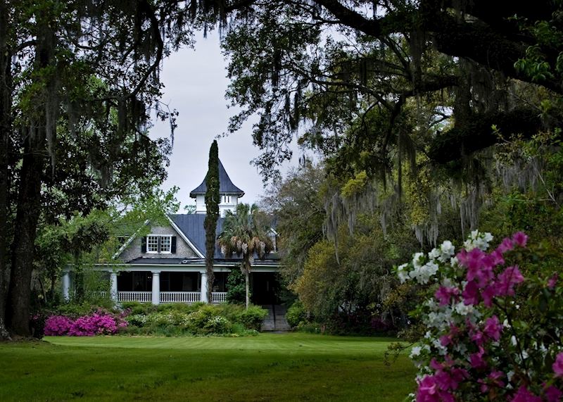 Magnolia Plantation, Charleston, SC