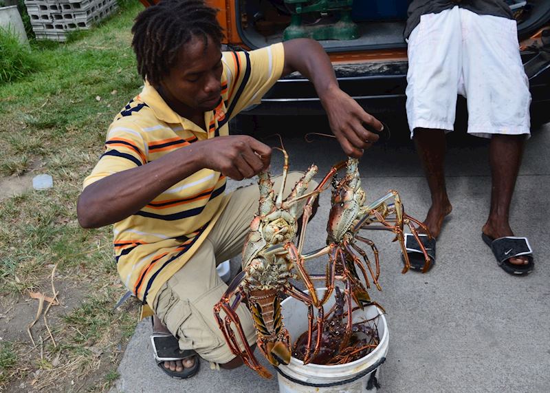 Catch of the Day, St Kitts & Nevis