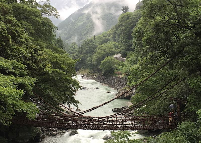 Vine Bridge, Iya Valley