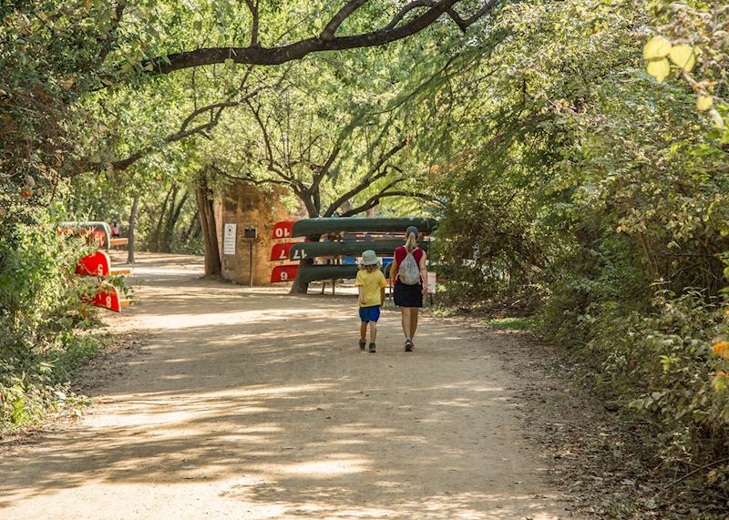 Walking trails in Austin