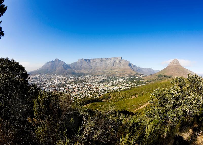 Table Mountain, Cape Town, South Africa