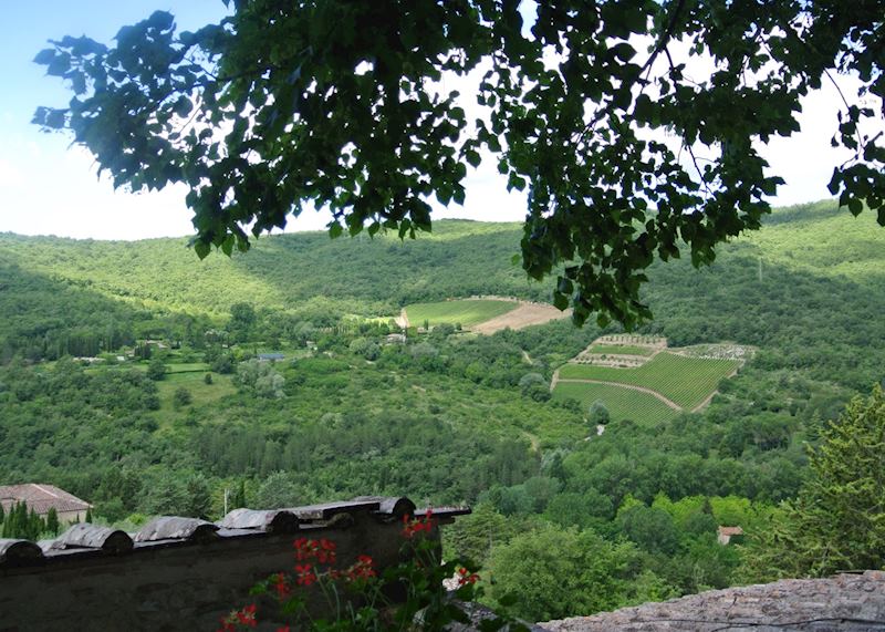 Views from Castello di Meleto