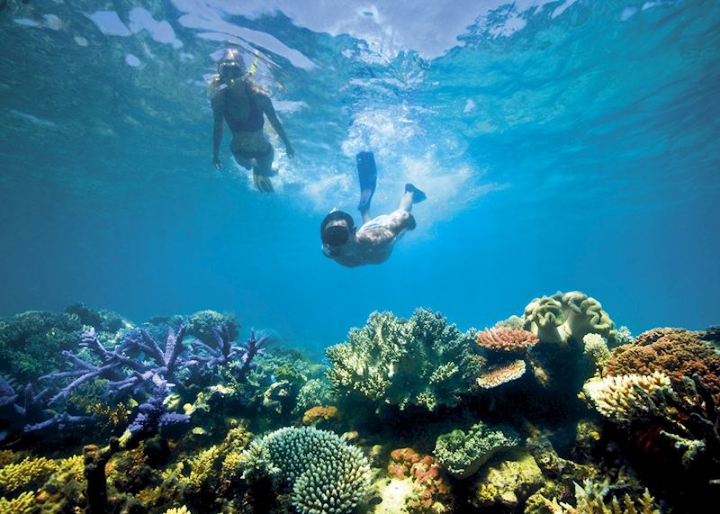 At leisure on Lizard Island, Lizard Island