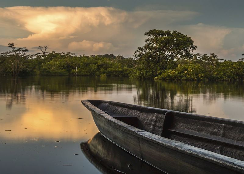 Amazon rainforest