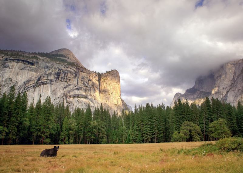 Yosemite National Park, California