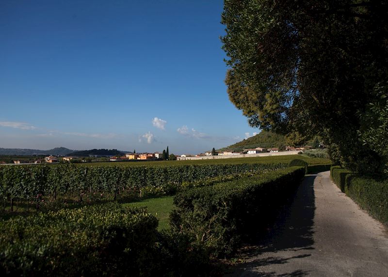 Serego Alighieri winery, Verona