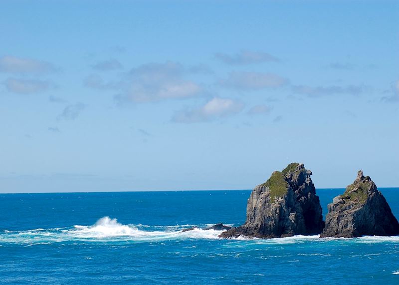 Picton to Abel Tasman National Park, Picton & The Marlborough Sounds