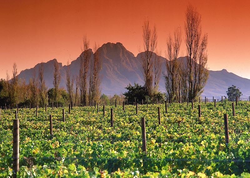 Franschhoek, South Africa