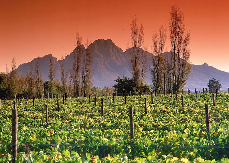 Franschhoek, South Africa