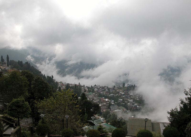 Mist over Darjeeling
