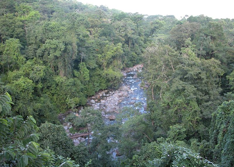 Pico Bonito National Park, Honduras