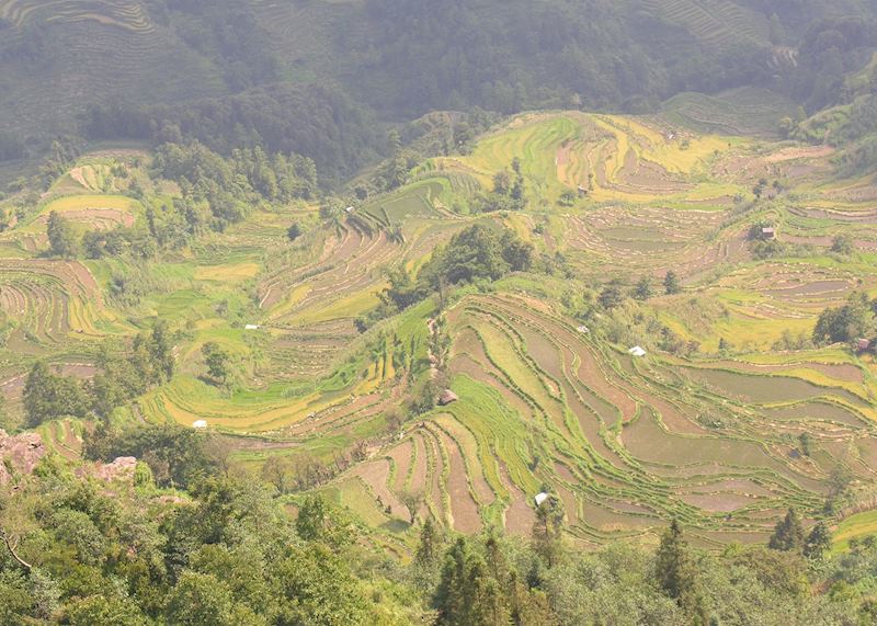 Yuanyang Rice Terraces