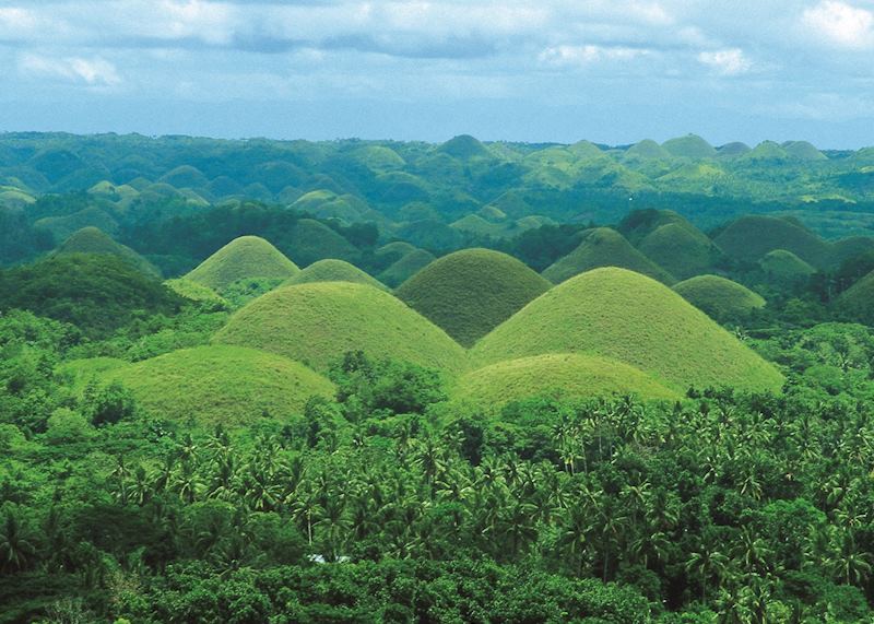 Chocolate Hills