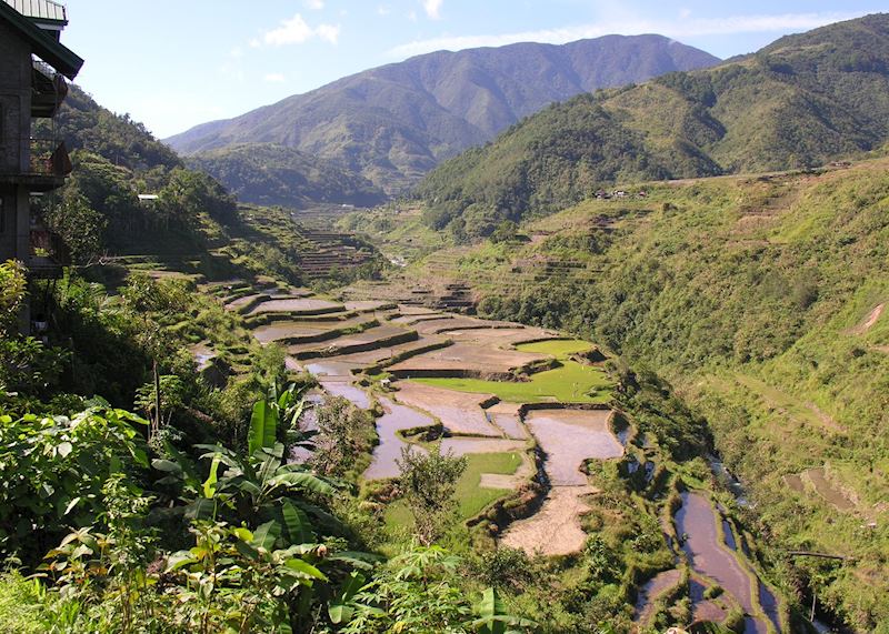 View along a river valley of rice terraces, Ifugao Province, Luzon