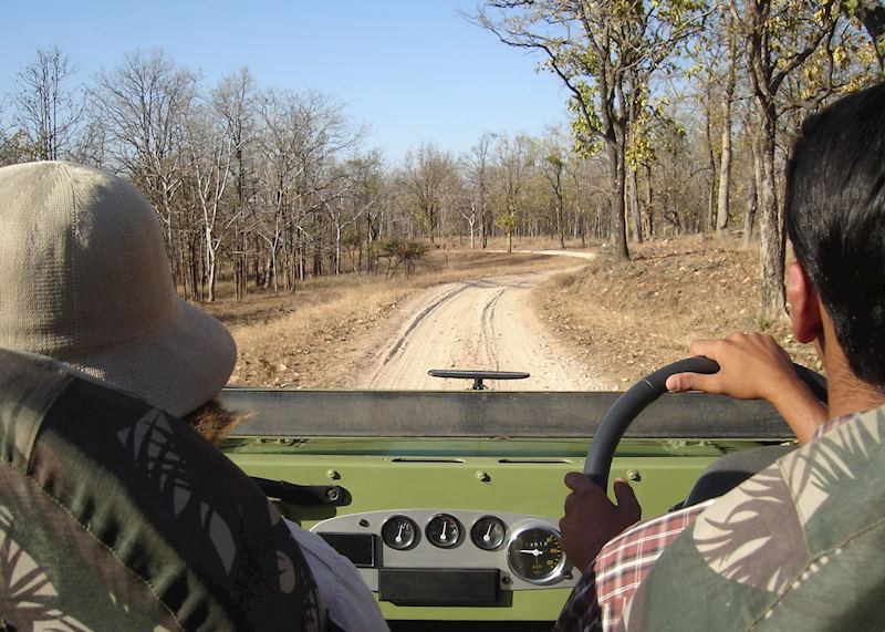 Pench National Park, India