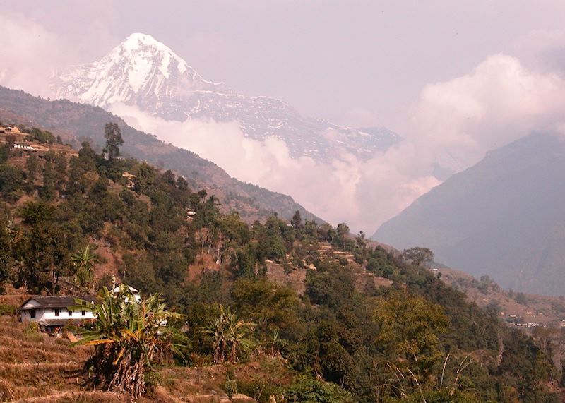 Annapurna foothills trek