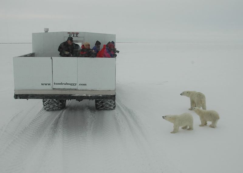 Tundra Buggy