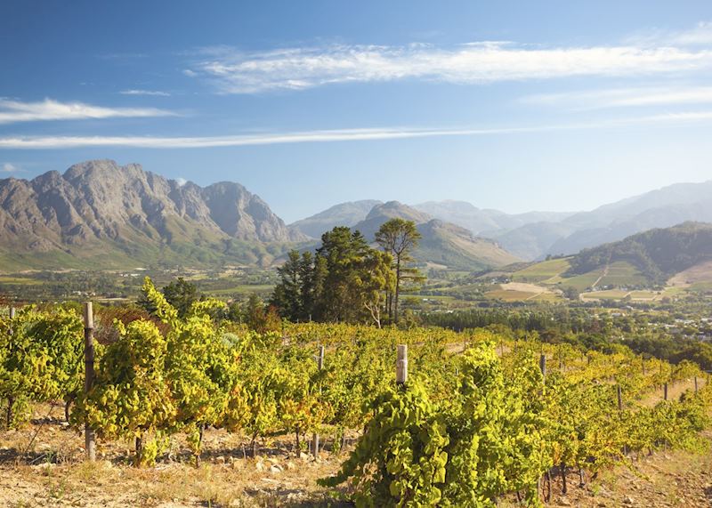 Franschhoek, the Cape Winelands