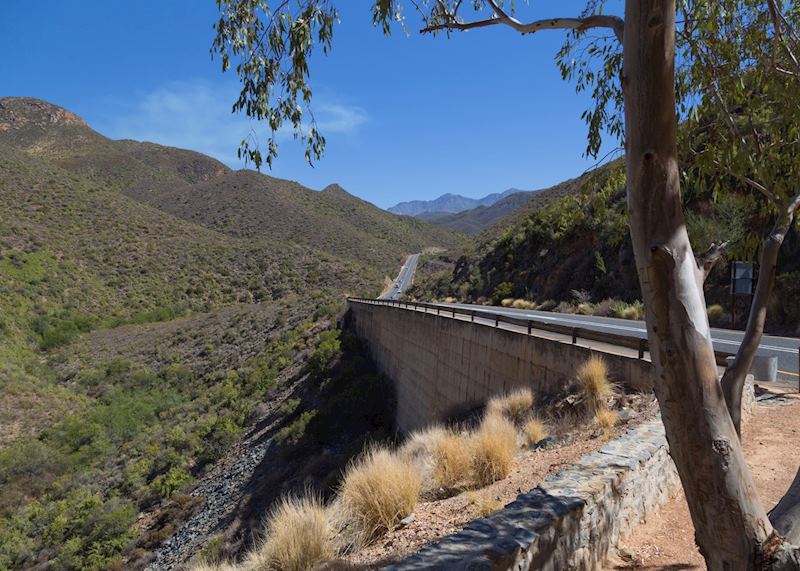 Route 62, Oudtshoorn