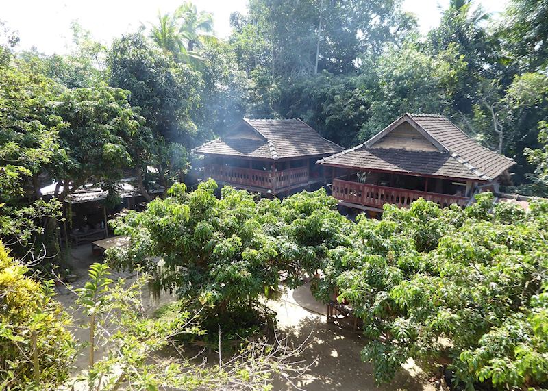 Gardens and cooking stations at home of Raunkaew-Yanon family