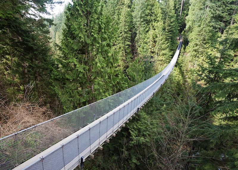 Capilano Suspension Bridge