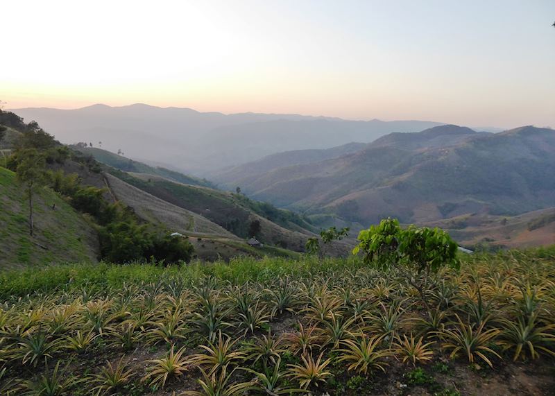 Views around Doi Chang