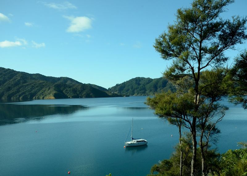Bay of Many Coves, Picton & The Marlborough Sounds