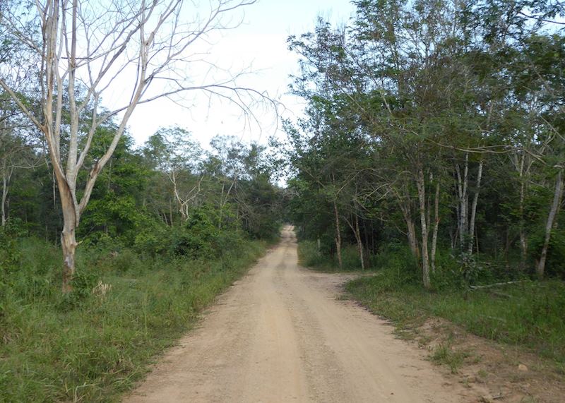 Track used for wildlife observation in Kui Buri National Park
