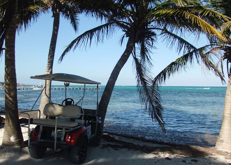 Golf Cart on the beach