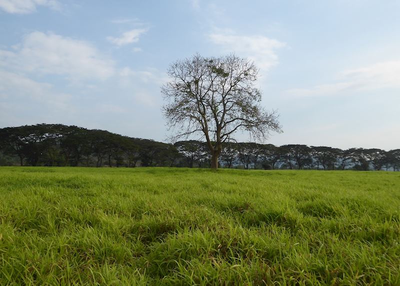 Scenery around Kui Buri