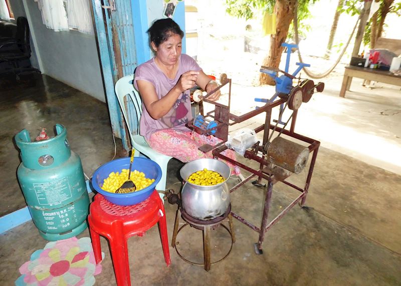 Extracting silk, Kui Buri