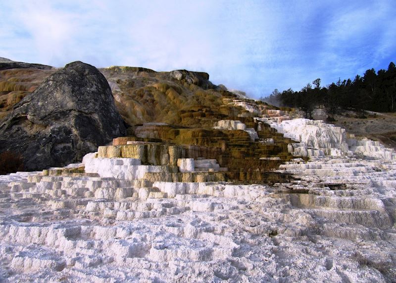 Mammoth Hot Springs in Yellowstone National Park