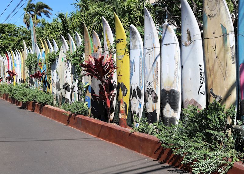 Surfboards in Paia, Maui