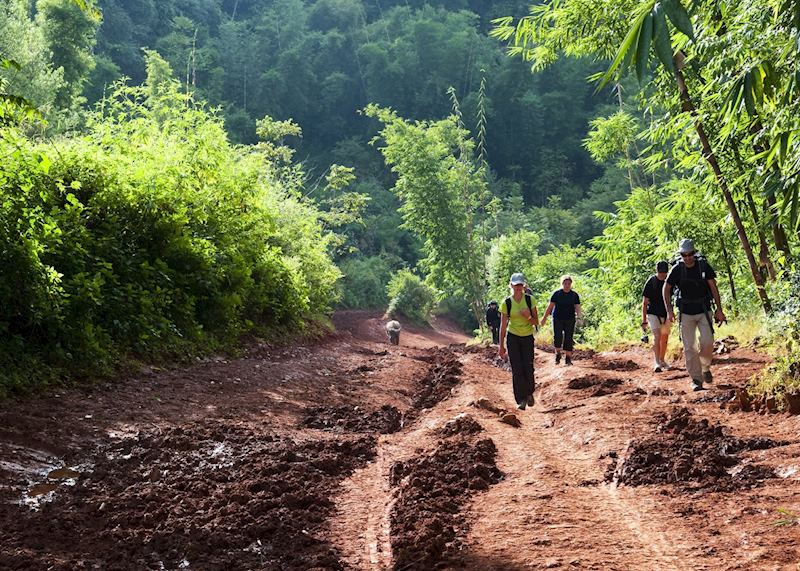 Trekking from Kalaw to Inle Lake