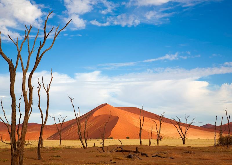 Dune 45, Sossusvlei