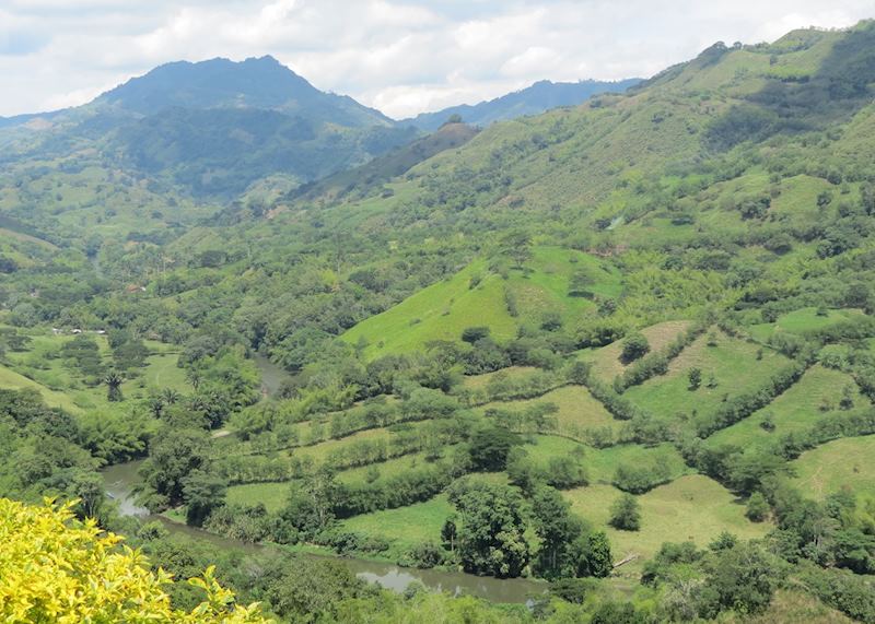 Beautiful views of the coffee region