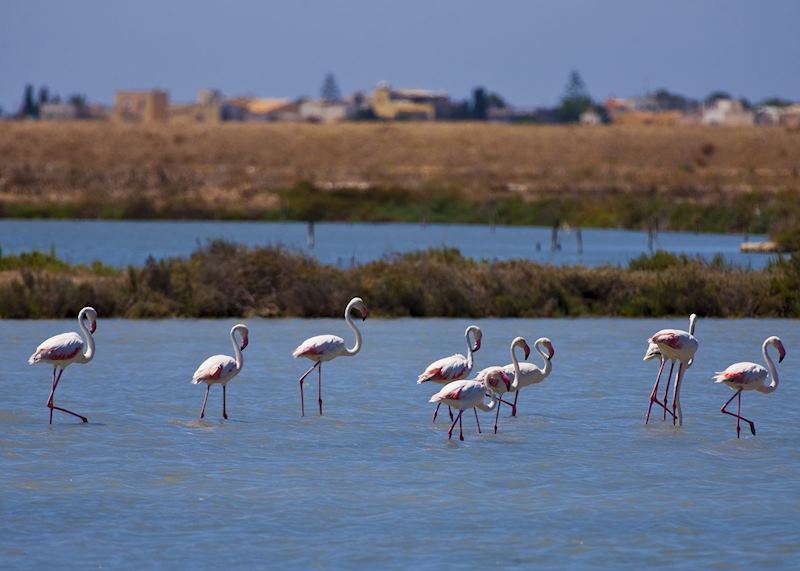 Salt pans, Trapani