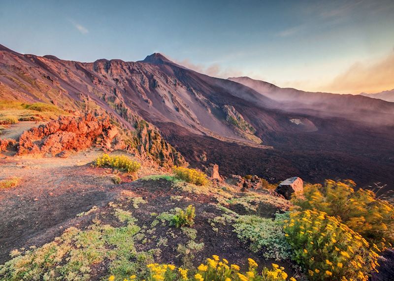 Fertile volcanic soil, Mount Etna