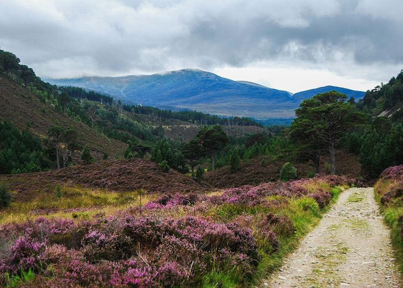Rothiemurchus