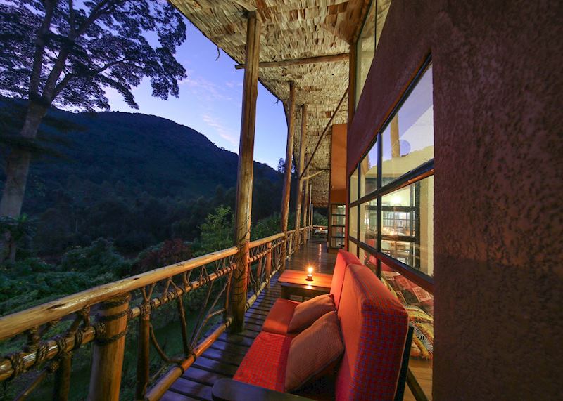 Mahogany Springs, Bwindi Impenetrable Forest National Park