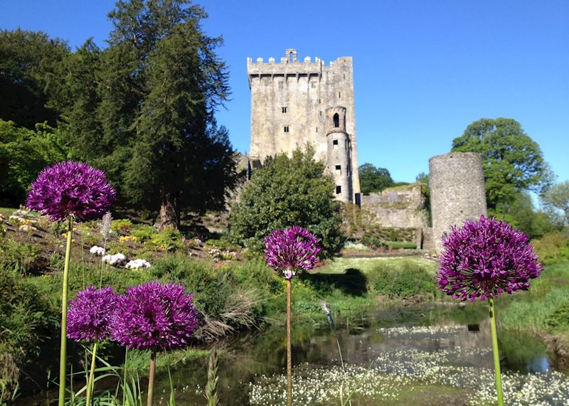 Blarney Castle