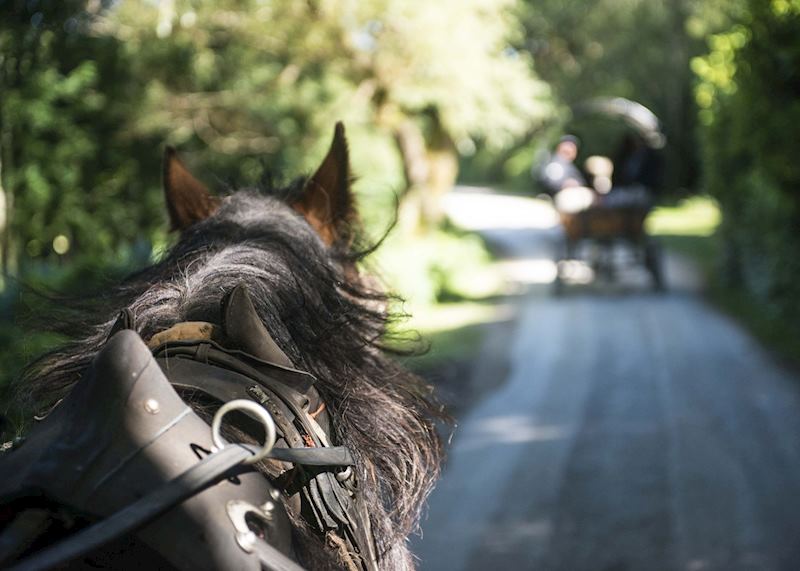 Jaunting car in Killarney